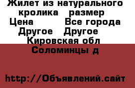 Жилет из натурального кролика,44размер › Цена ­ 500 - Все города Другое » Другое   . Кировская обл.,Соломинцы д.